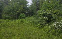 615 Allen Teator Road, Durham, NY 12469