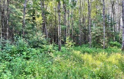 10553 OLD 8 Road, CRANDON, WI 54520