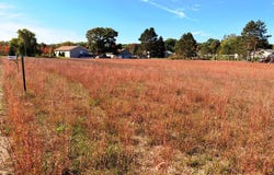 7374 W Cedar Drive, Irons, MI 49644