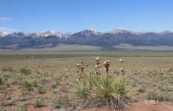 300 Zia Trail, Westcliffe, CO 81252