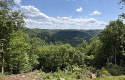 1182 Darrell Randall Road, Stanton, KY 40380