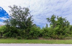 13155 PACE CIRCLE, PORT CHARLOTTE, FL 33981