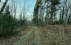 24965 Hammock Trail, Park Rapids, MN 56470