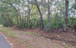 201 Pineway West Ave, Satsuma, FL 32189