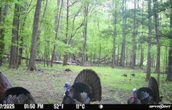 0001 Coxs Ferry Road, Bolton, MS 39041