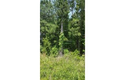 00 Lot1 Meagen Lane, Manning, SC 29102