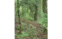 Lot 38 Hickory Hollow Ln, Copper Hill, VA 24079