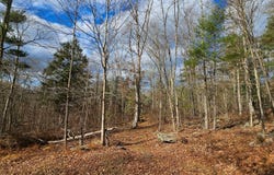 7297 State Route 97, Narrowsburg, NY 12764