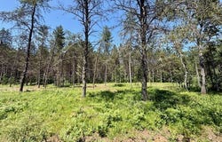 Lot 59 Brook Lane, Hayward, WI 54843