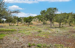 Deer Run Rd, Leander, TX 78641
