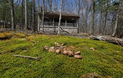 347 Windflower Drive lot: 129 & 130 Bern, Terra Alta, WV 26764