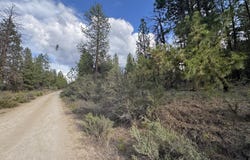 0 Partin Drive, Beatty, OR 97621