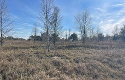 Lot 18 HAMMOCK GROVE ROAD, GROVELAND, FL 34736