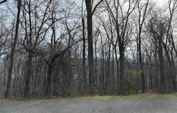1240 FALCON RIDGE Road, Blacksburg, VA 24060