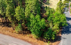 6281 Bent Oak Drive, Pinetop, AZ 85935