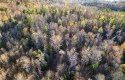 Town N Country Drive, Wilkesboro, NC 28697