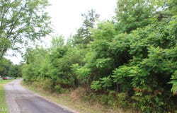 600 Jessie'S Road, Michigan City, MS 38647