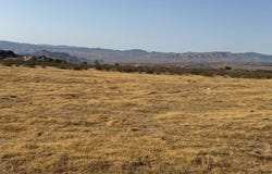 17575 Century Plant Road, Apple Valley, CA 92307