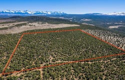Pinion Ridge Road, Montrose, CO 81403