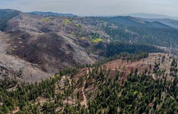 Packer Gulch Road, Drummond, MT 59832