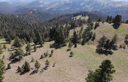 Outer Loop Road, Cascade, MT 59421