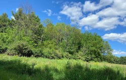 228835 Hawthorne Lane, Wausau, WI 54403