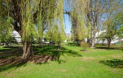 230 N Willis, STOCKTON, IL 61085