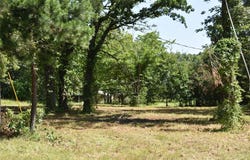 1390 Fm 906 W, Powderly, TX 75473