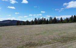 Tbd Liberty Ln, Viola, ID 83872-5102