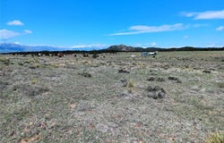 567 Trails End Court, Cotopaxi, CO 81223