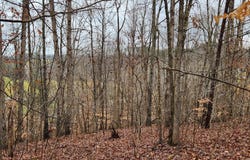 LOT 6 Brooks Mill RD, Glade Hill, VA 24092
