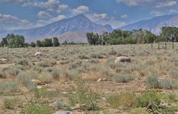 43 Battlefield Tr, Clark, WY 82435