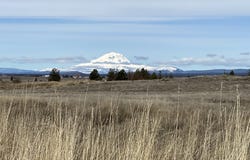 Industrial Way, Goldendale, WA 98620