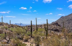 13960 N Jims Deadend Place, Marana, AZ 85658