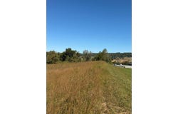 11.7 ac Byrdstown Hwy, Livingston, TN 38570