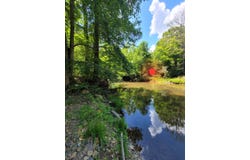 23 Misty Mountain, Waiteville, WV 24984