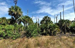 FARVIEW DRIVE, NORTH PORT, FL 34288