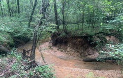 Gainestown Road, Jackson, AL 36545