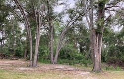 317 SE Centerwood Lane, Lee, FL 32059-5758