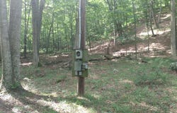 578 ROUSE MOUNTAIN ROAD, GREAT CACAPON, WV 25422