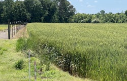 Tbd Nc-50, Wallace, NC 28466