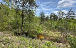 31 Clay Camp Road, Grayson, KY 41143