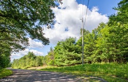 L-16.5 Donlan Heights Road, Broome, NY 12122