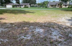 0 OGDEN AVENUE, UMATILLA, FL 32784
