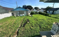 316 Ohio Street, St Joseph, MO 64504
