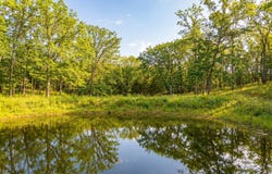 16583 Highway U, Hermitage, MO 65668