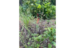 Tract 3 SE 1083   Road Ave, Red Oak, OK 74563