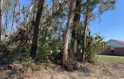 235TH LN, Dowling Park, FL 32060