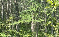 7E Fowler Road, Woodland, ME 04736