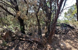 850b FM 2256, Mineral Wells, TX 76067